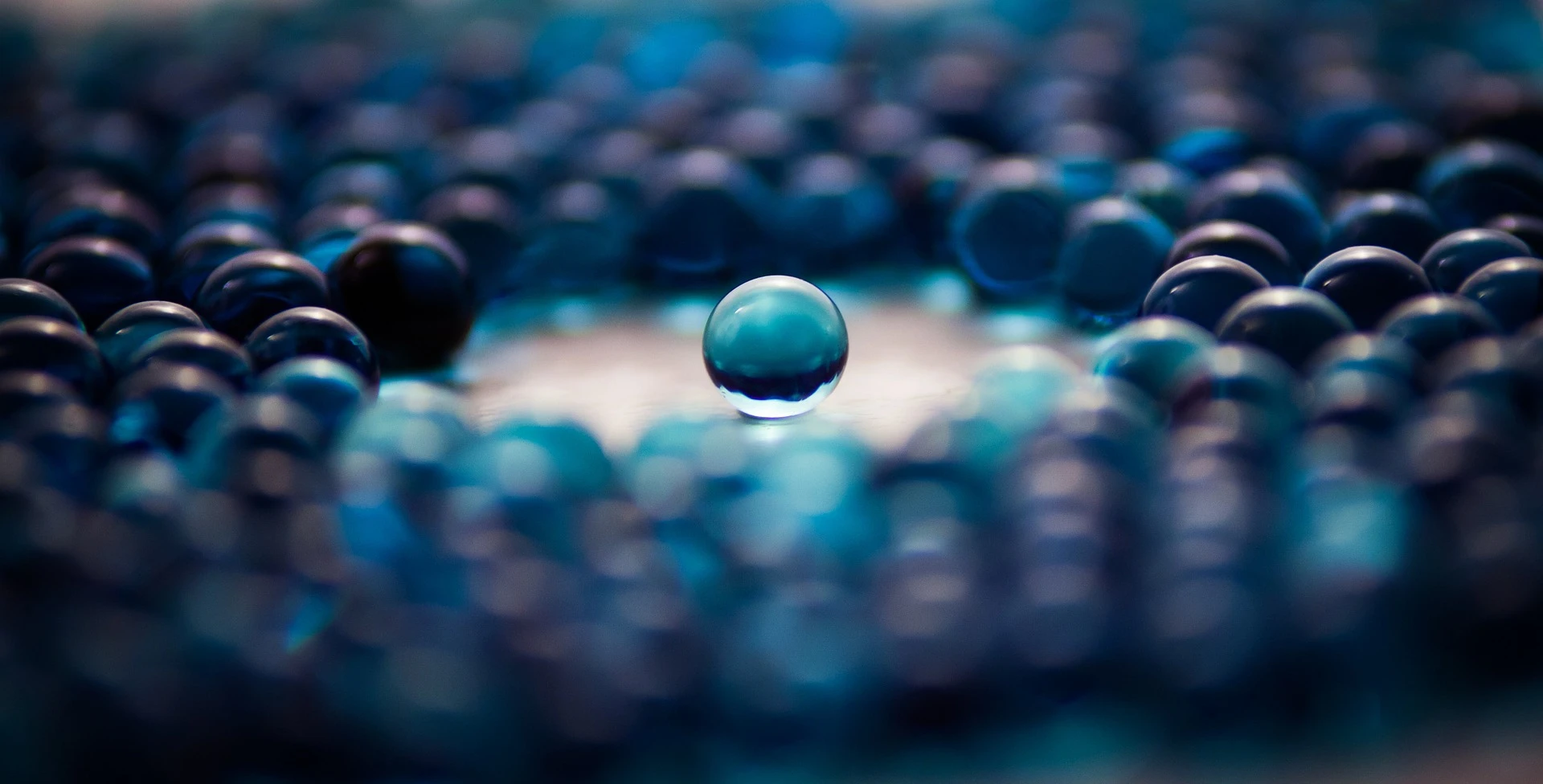 Think Big and Small: How to prepare your company for real growth and an opportunity to sell