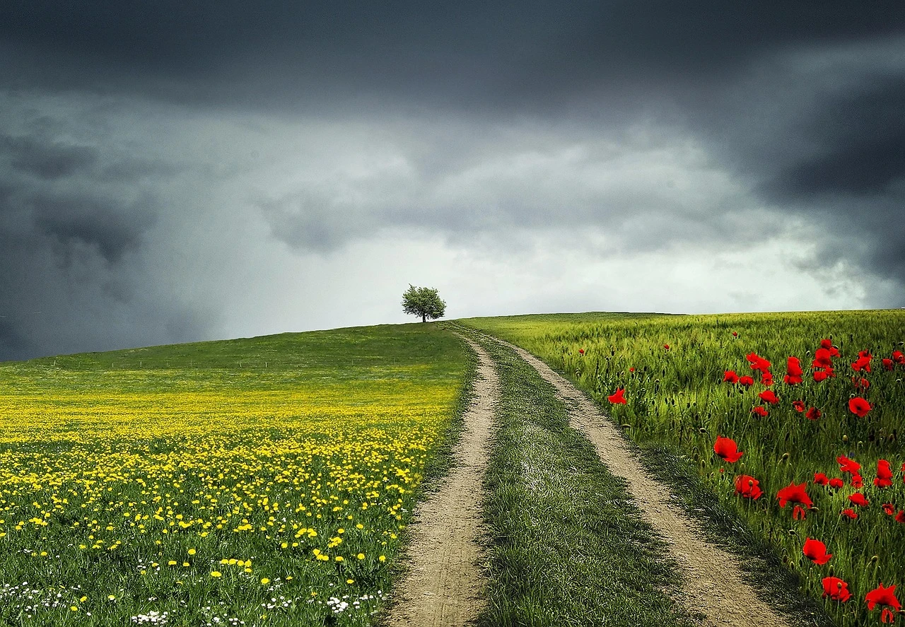 Choose a new path to creativity
