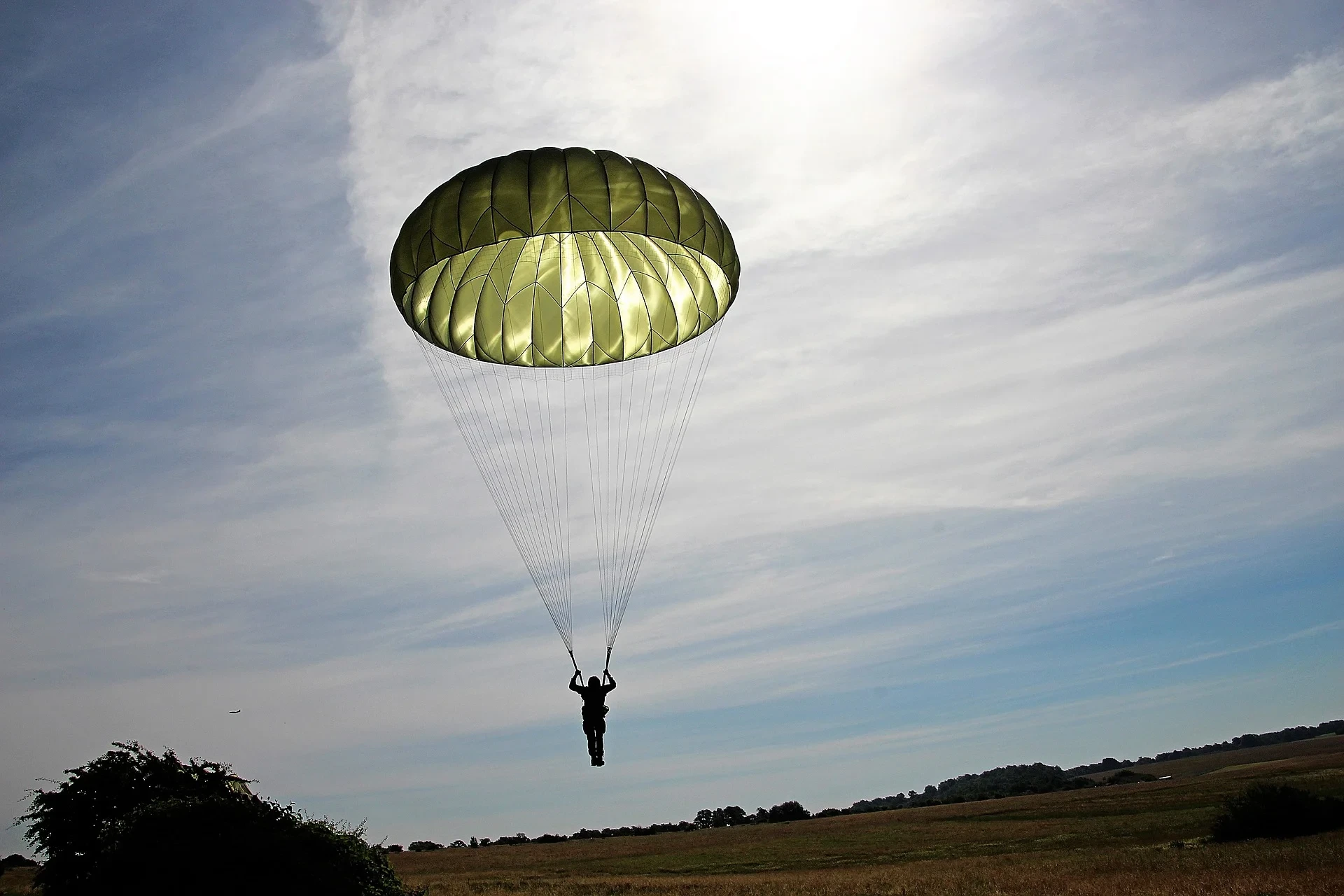 Hop, Hop, Land The Job Of Your Dreams