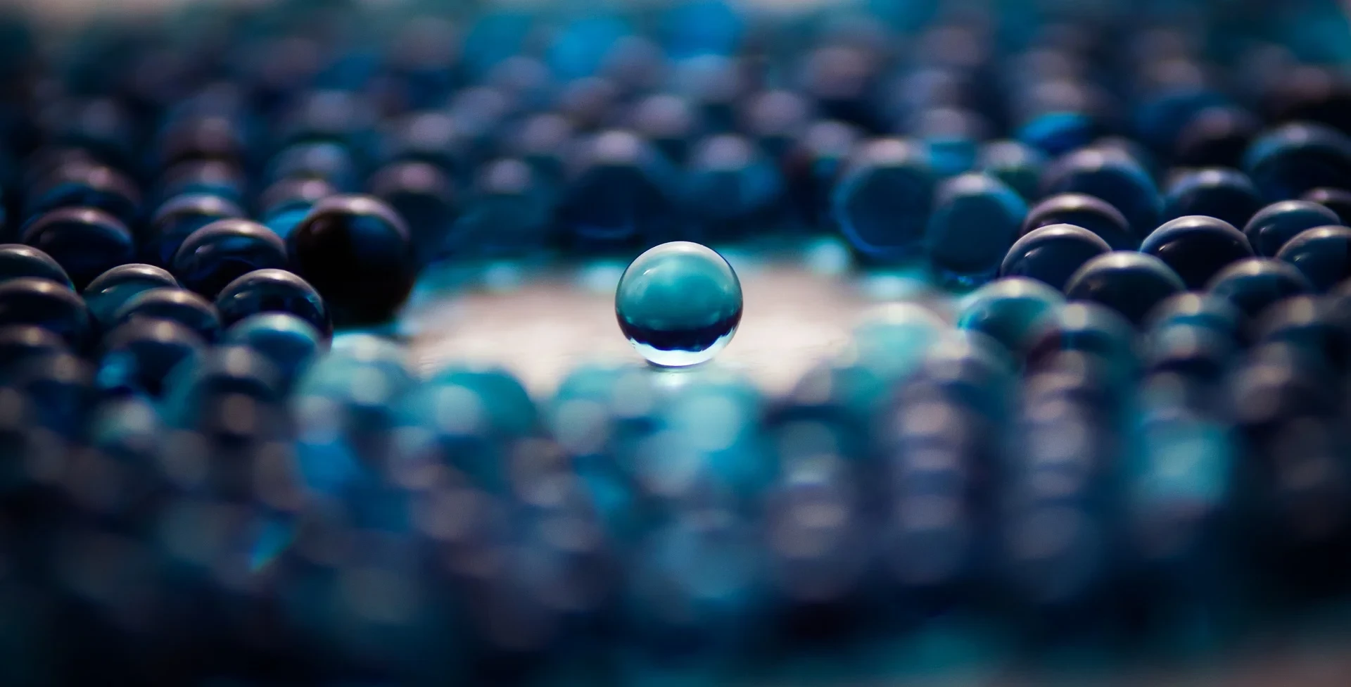 Think Big and Small: How to prepare your company for real growth and an opportunity to sell